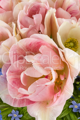 Beautiful background of flowers, close-up