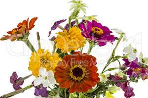 Flowers bouquet, isolated on white background