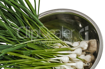 Tuft of raw garlic for cooking, isolated on white background