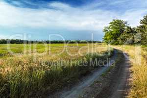 The rural dirt road, beautiful countryside on a sunny day