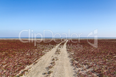 The steppe road to the sea