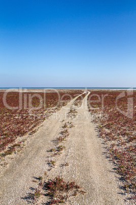 The steppe road to the sea