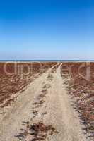 The steppe road to the sea