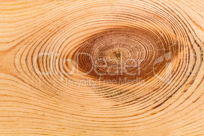 Wood texture with natural pattern