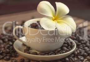 flower in a cup of coffee