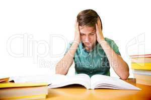 Student sitting in library reading