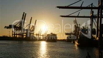 container terminal