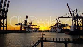 container terminal