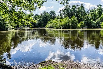 Mirroring in a lake