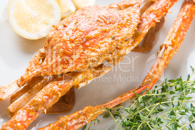 Closeup hot and spicy chili crab
