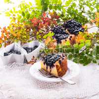 Cheesecake blueberries