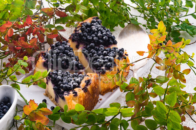 Cheesecake blueberries