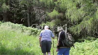 Senior tourist couple hiking in the mountains
