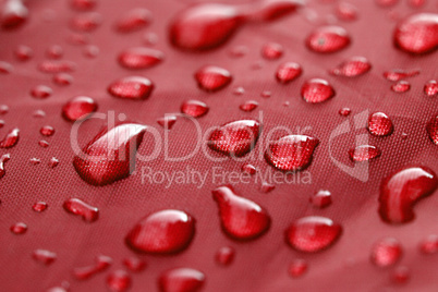 Closeup of rain drops