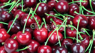 Fresh, ripe, juicy cherries. Rotate of clockwise. Loopable. HD 1080