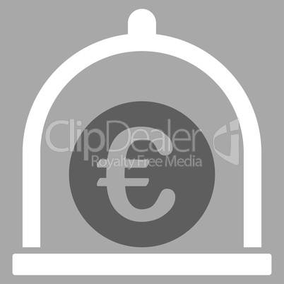 Euro standard icon