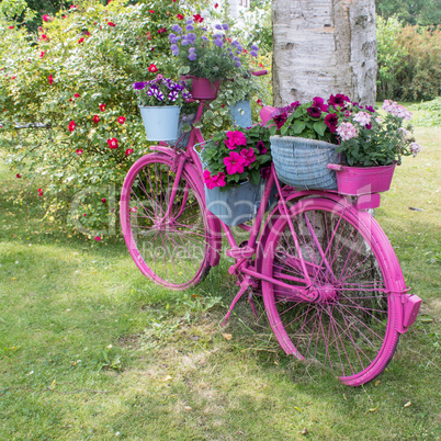 pink bicycle