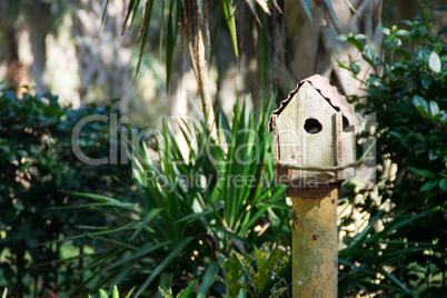 kleines Vogelhaus im Wald