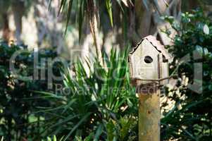 kleines Vogelhaus im Wald