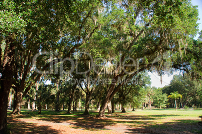 Park, Garten, Landschaft Park, Garten, Landschaft