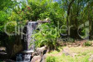 Wasserfall Wildnis Dschungel