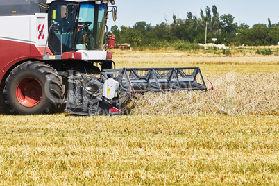 Harvesting wheat