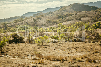 Flinders Ranges Australia