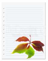 Exercise book with multicolor virginia creeper leaf