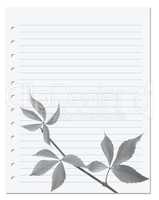 Exercise book with black-white virginia creeper leaf