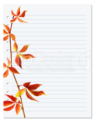 Exercise book with autumnal virginia creeper twig