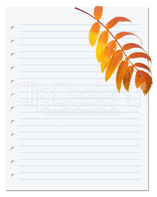 Notebook paper with autumn leaf of rowan