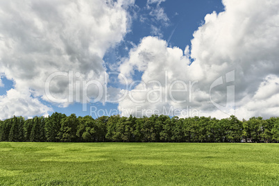 Beautiful sunny summer landscape with grass trees and clouds Beautiful sunny summer landscape with grass trees and clouds