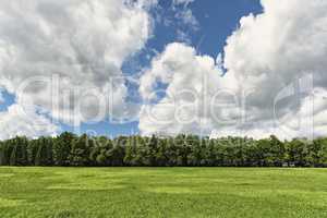 Beautiful sunny summer landscape with grass trees and clouds