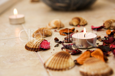 Spa center, candle, mussels and rose leafs. For SPA designs.