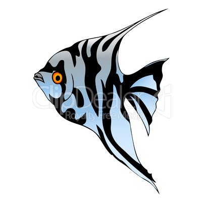 Graphic fish isolated on white background