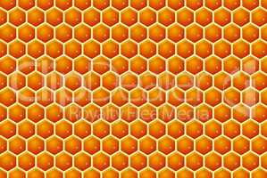 Honey cells texture with honey