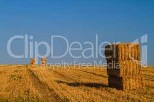 Hay Bales