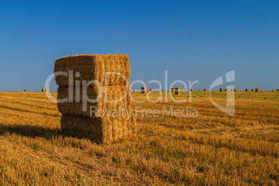 Hay Bales