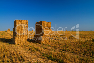 Hay Bales