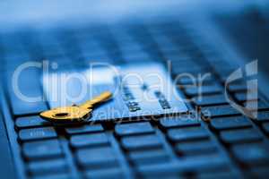 Secure credit card for online payment