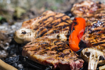 Meat steak on grill