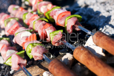 Delicious grilled meat skewers. Food on grill.