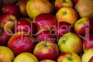 Apples in a market stall