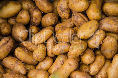 Raw potatos in market