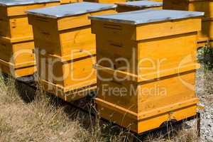 Beehives and beekeeping