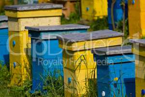 Beehives and beekeeping