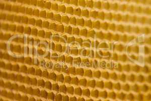 Honeycomb cells close-up with honey