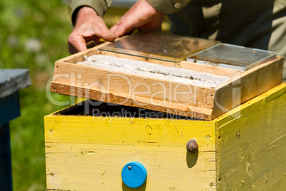 Beekeeper working on beehive