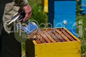 Beekeeper working on beehive