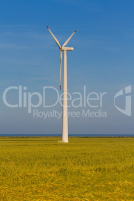 Wind power generator on wheat field